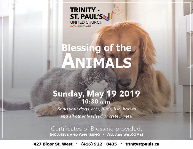 animal blessing_web